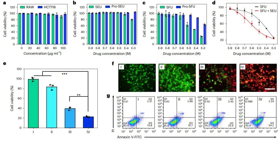 曲晓刚研究员，最新Nature Catalysis！