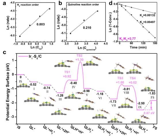 曹昌燕/宋卫国/王阳刚ACS Catalysis：充分暴露的Ir团簇立大功，实现高效催化N-杂环芳烃加氢