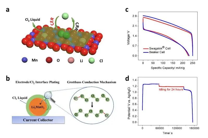 ​纪秀磊等AM：Li2MnO3：低温水系电池中液态Cl2电极的催化剂