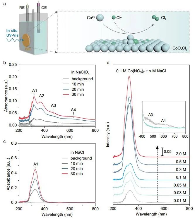 ​电子科大Nature子刊：CoOxCly电催化剂助力酸性盐水中可持续析氯