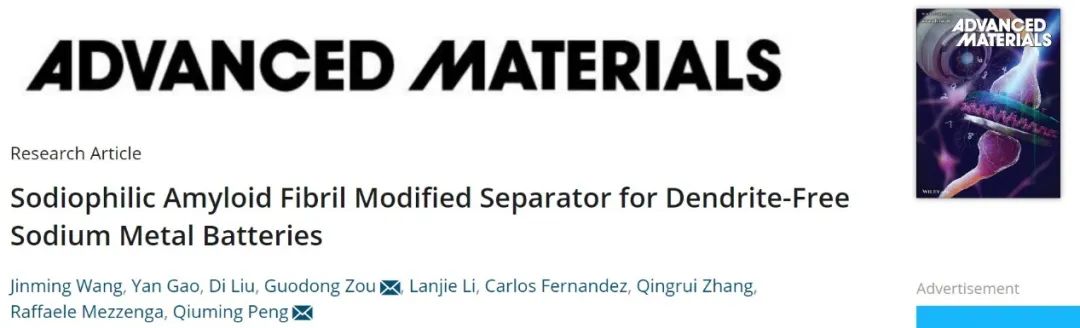 彭秋明/邹国栋AM：亲钠淀粉样纤维改性隔膜，实现无枝晶钠金属电池！