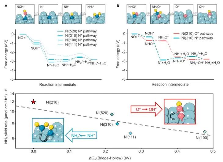 催化顶刊集锦：JACS、Nature子刊、Chem、AFM、ACS Catalysis、ACS Nano等成果