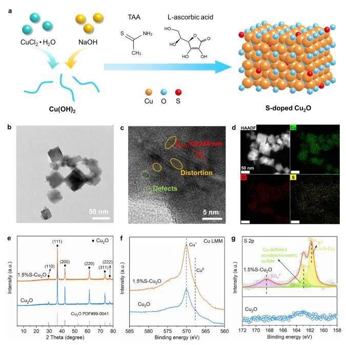 DFT计算与实验结合，8篇顶刊：Nature子刊、Angew. 、JACS、EES、AM、AFM等！