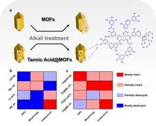 庞欢最新Angew.：单宁酸刻蚀MOF有奇效！