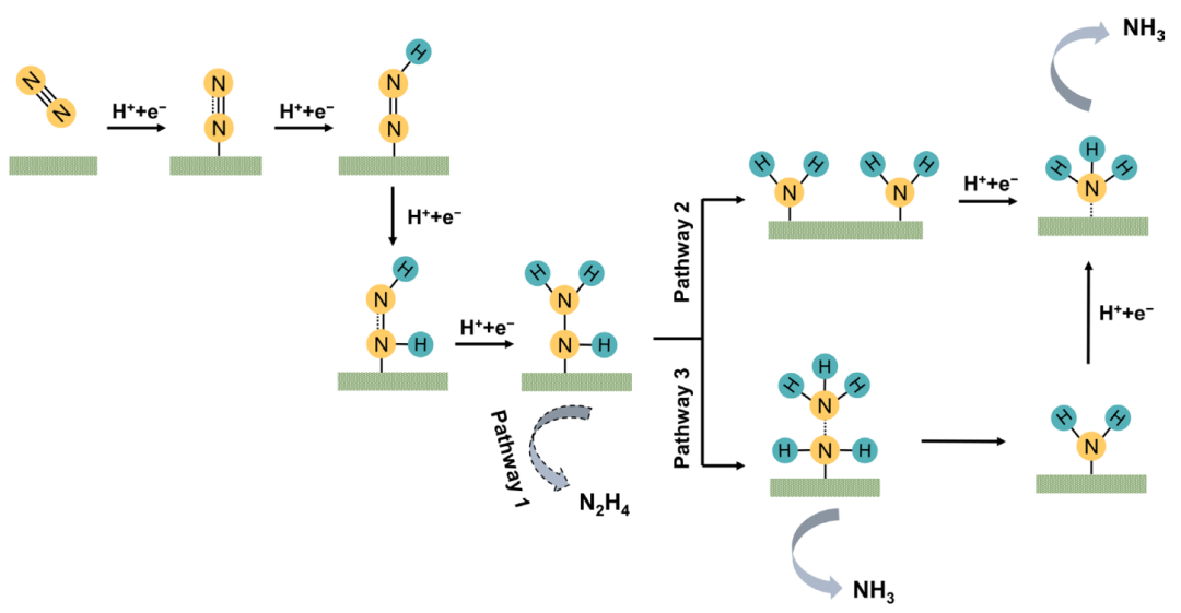 天大王拓/巩金龙，最新PNAS！攻克电催化氮还原难题！