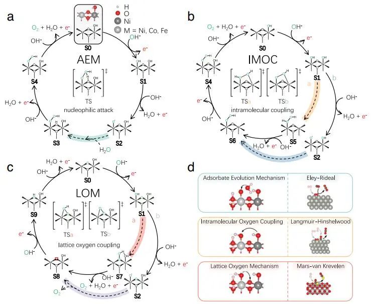 催化顶刊集锦：JACS、Nature子刊、Angew.、AFM、Adv. Sci.、ACS Catal.等成果