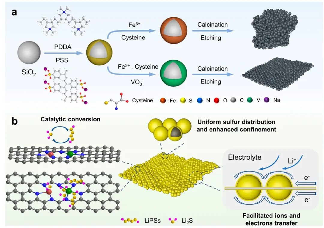 凌立成/王际童/张亚运ACS Nano：钒作为锂硫电池中Fe-V双原子电催化剂的助剂