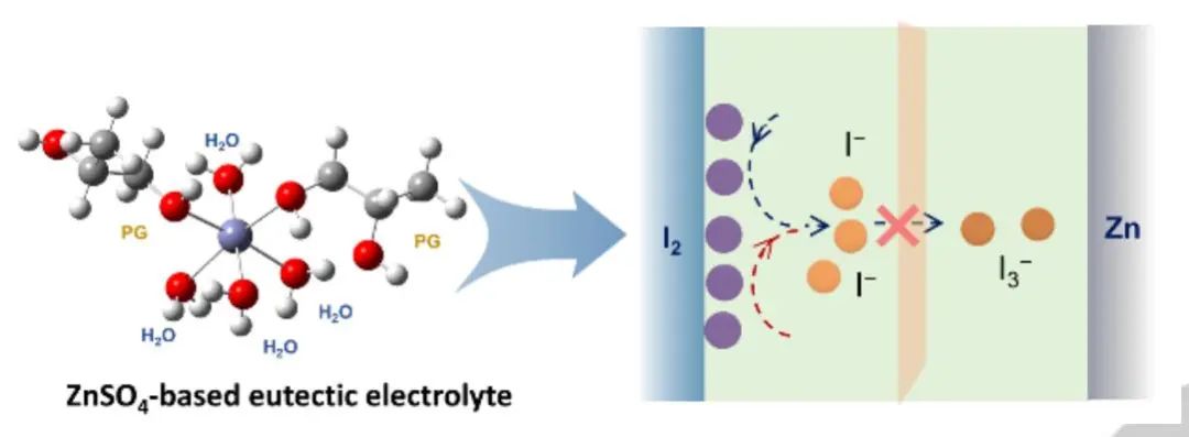 ​乔世璋Angew.：低成本且不易燃的共晶电解质用于先进 Zn-I2电池