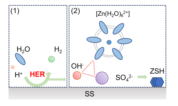 数篇Science、Nature中招，纽扣电池测试有陷阱！最新EES喊你来避雷！