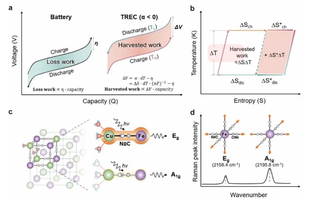 ​AM：通过热再生电化学循环中的结构振动熵提高低级热量收集的效率