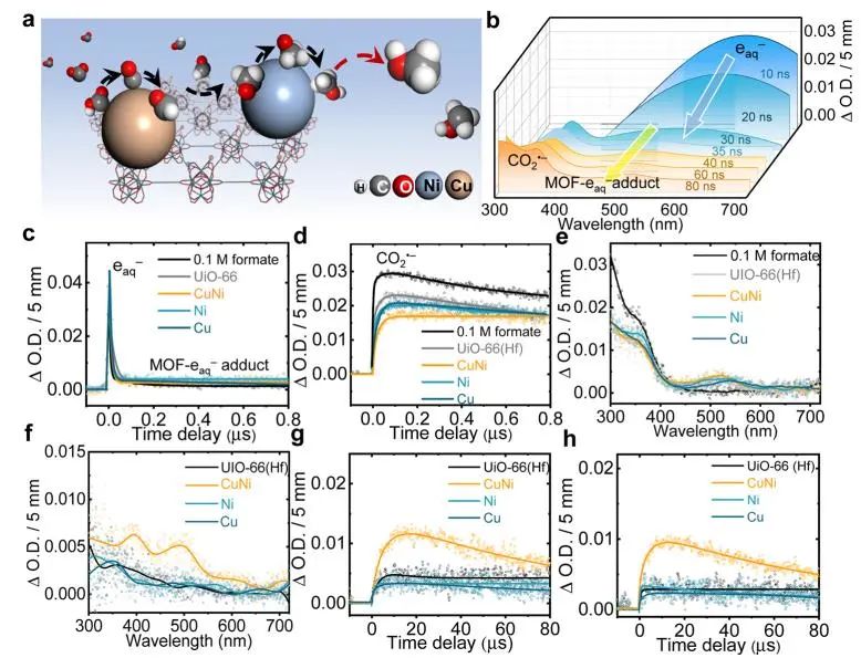 Nature子刊：高能辐射耦合CuNi SAs/UiO-66(Hf)，实现高选择性还原CO2生成CH3OH