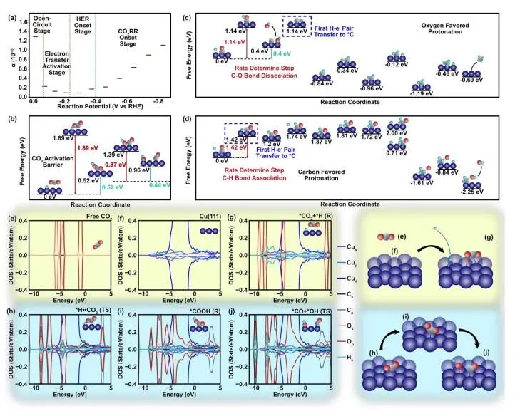 催化顶刊集锦：Nature子刊、JACS、EES、Angew.、AFM、ACS Catal.等