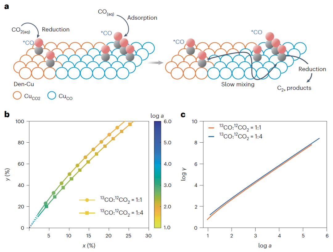 北京大学徐冰君团队，最新Nature Catalysis！