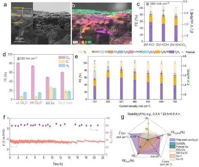 八篇顶刊速递：Nature子刊、Angew.、JACS、AM、AFM、ACS Catalysis等！