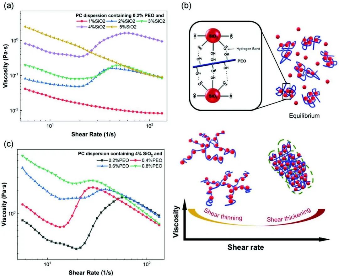 ​卧龙岗大学Adv. Sci.：PEO为SiO2纳米粒子提供桥接，获得抗冲击剪切增稠电解质