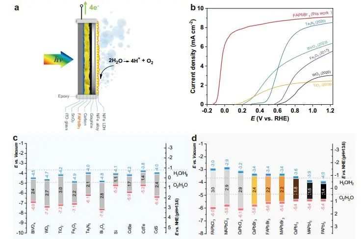 催化顶刊集锦：JACS、Nature子刊、Angew.、ACS Catal.、AFM、ACS Nano等成果