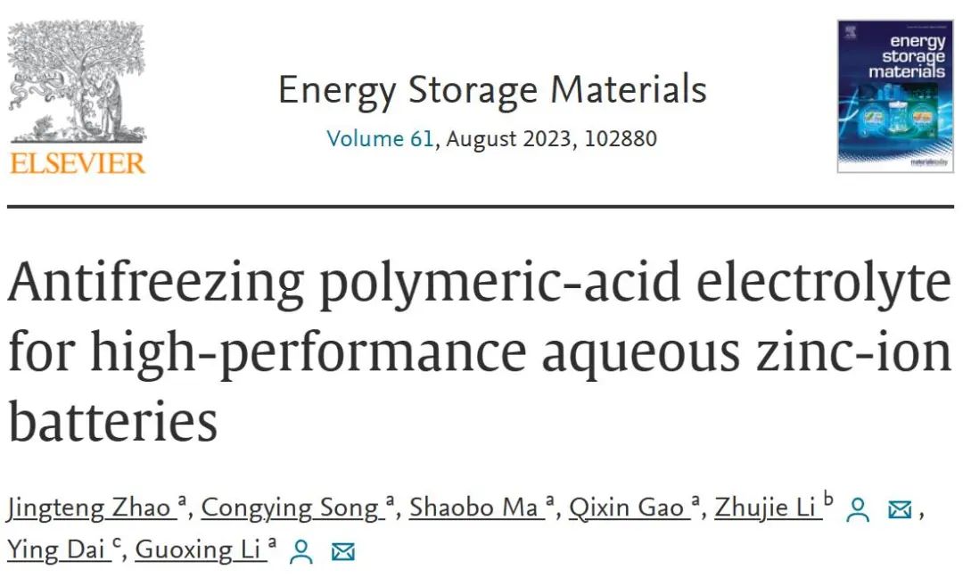 ​山大/北理EnSM：高性能水系锌离子电池的防冻聚合酸电解液