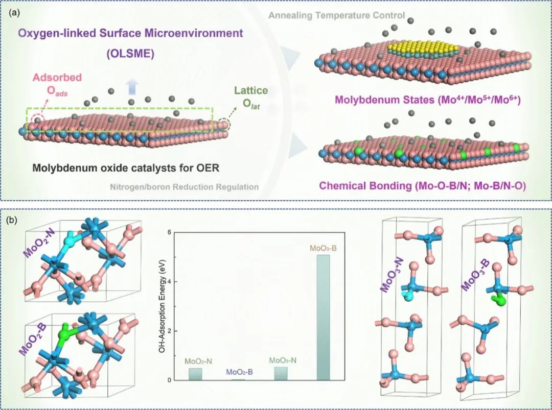 梅俊/廖婷/孙子其ACS Catalysis：硼/氮诱导的表面环境调节有利于实现高效析氧