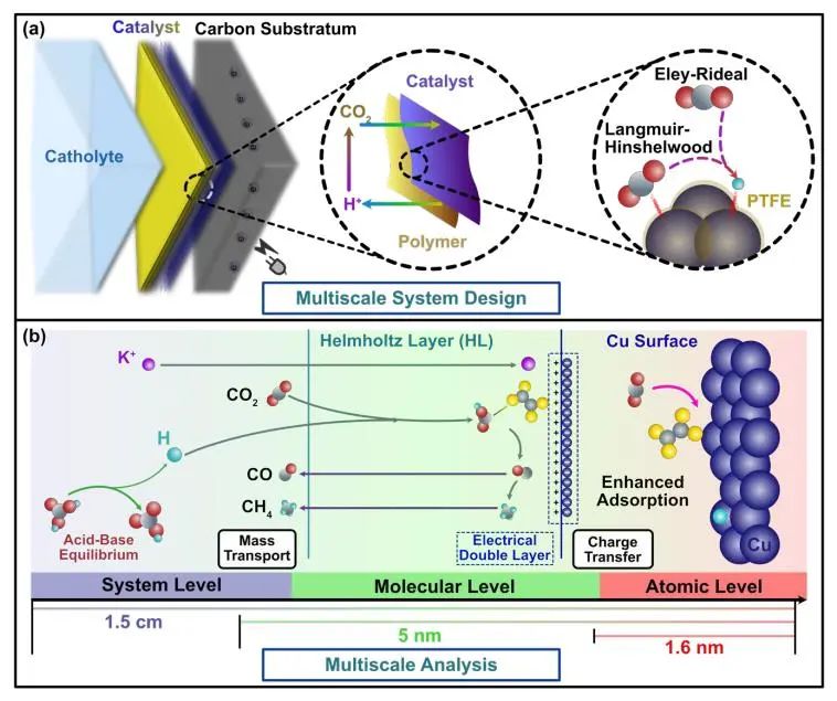 催化顶刊集锦：Nature子刊、JACS、EES、Angew.、AFM、ACS Catal.等