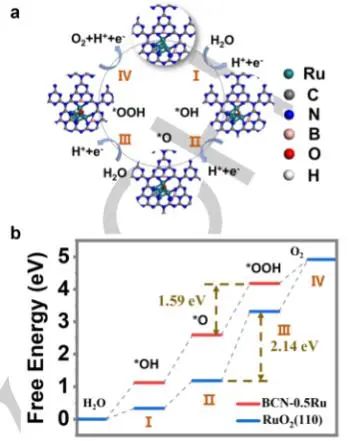 催化顶刊集锦：JACS、Angew.、Joule、AM、AFM、ACS Catal.、Nano Lett.等