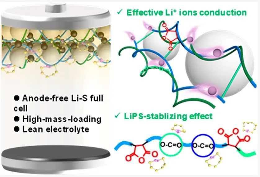 ​ACS Energy Letters: 具有快速锂离子传输的二元粘结剂实现高质量负载无负极锂硫电池