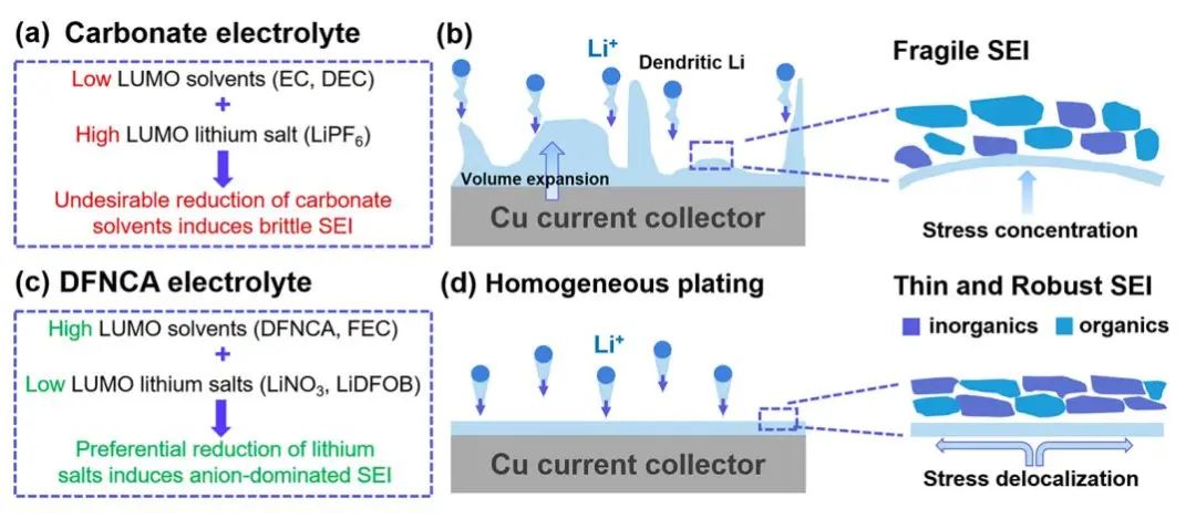 清华大学刘凯团队ACS Nano：氟化氨基甲酸酯基电解质实现高度可逆锂金属负极