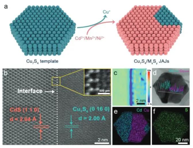 ​乔世璋/冉景润AFM：等离激元能量上转换立大功，有效强化Cu7S4/MxSy Janus原子结多功能光催化