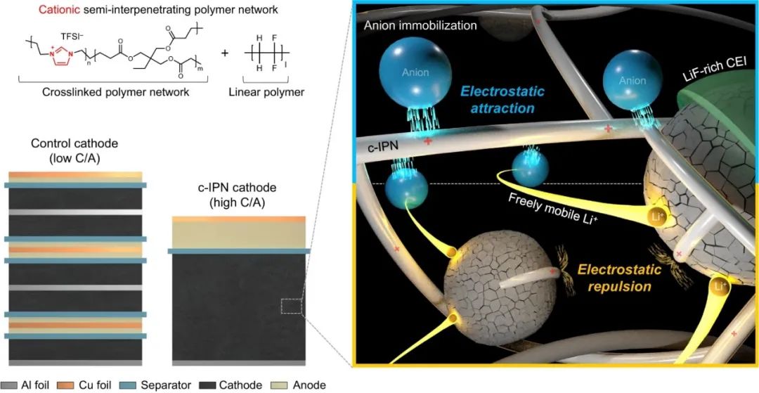 ​Nature子刊：阳离子聚合物粘结剂使NCM811面容量高达20 mAh/cm2！