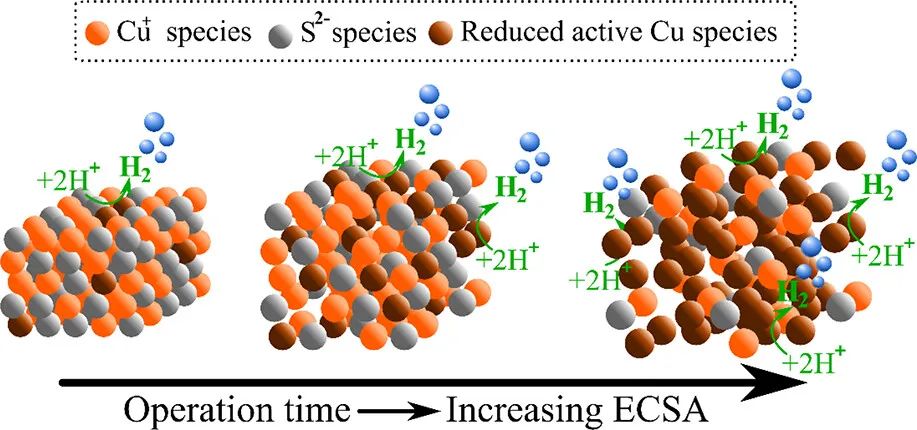 催化顶刊合集：AM、JACS、Angew.、ACS Energy Letters、ACS Catalysis、CEJ等成果！