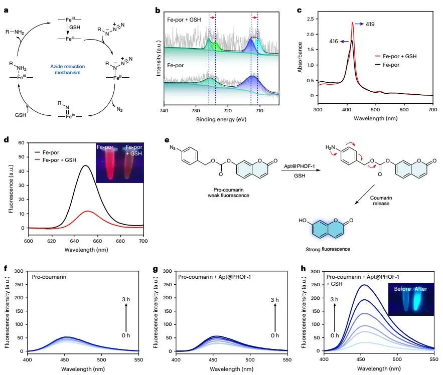 曲晓刚研究员，最新Nature Catalysis！