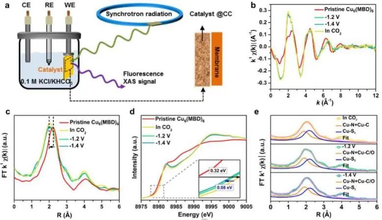 催化顶刊速递：JACS、Nature子刊、Angew.、AFM、ACS Catalysis、Nano Lett.等成果