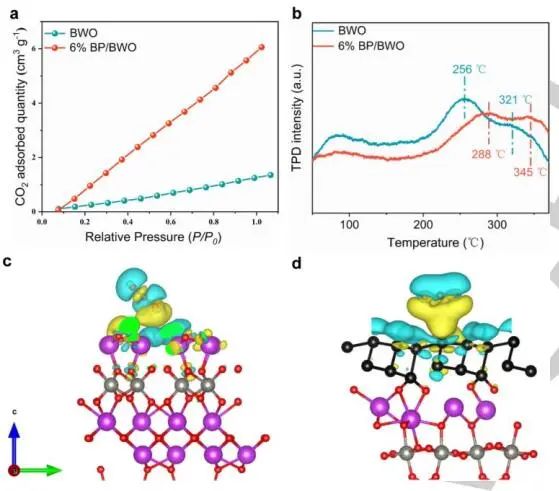 山东大学Angew.：近100%选择性！BP/BWO S-型异质结助力苯胺氧化和CO2光转化