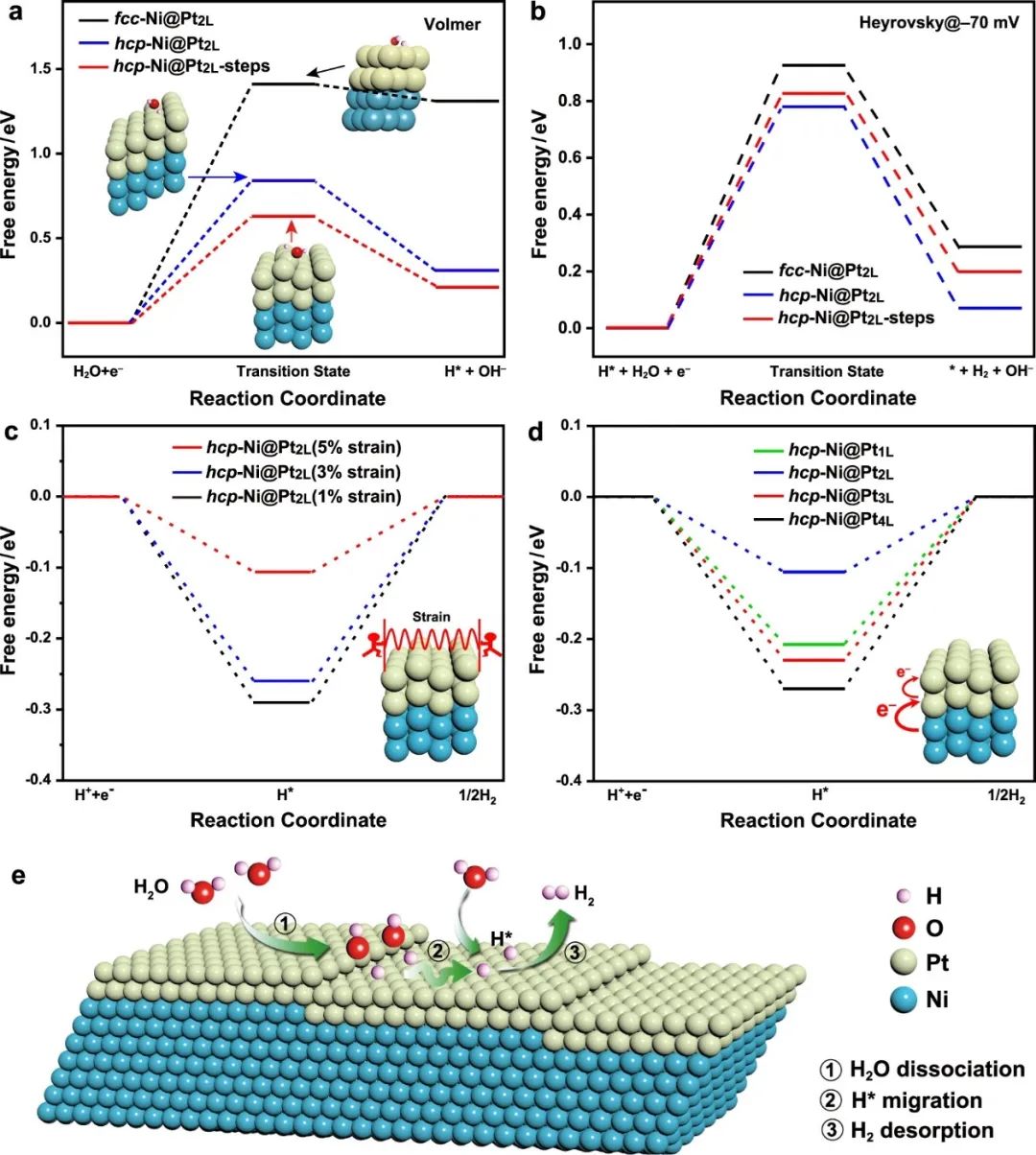 催化顶刊合集：Nature子刊、Angew、AFM、ACS Nano、ACB、Nano Lett等成果！