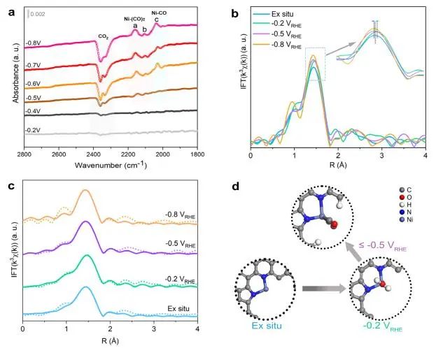 催化顶刊集锦：Nature子刊、JACS、ACS Nano、ACS Energy Lett.、AFM、NML等成果