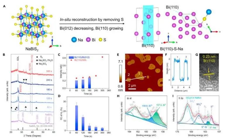 ​复旦/商丘师范Chem：S2−和Na+共修饰高暴露Bi(110)面，实现安培级CO2-甲酸电合成