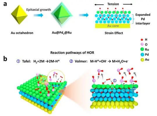 催化顶刊集锦：JACS、Nature子刊、Adv. Sci.、Nano Energy、ACS Nano等