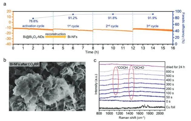 催化顶刊集锦：JACS、Nat. Commun.、ACS Catal.、AFM、ACS Nano等成果