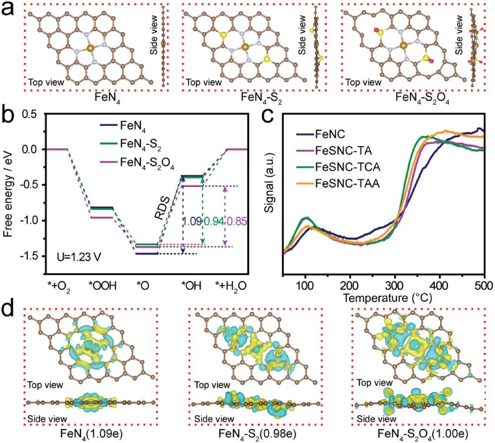 八篇催化顶刊：AM、AFM、EES、ACS Nano、Small、Appl. Catal. B等成果