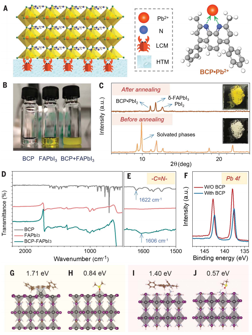 黄劲松教授，最新重磅Science！