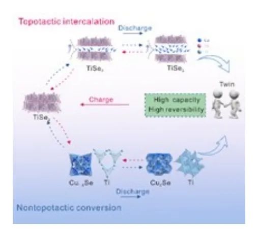 朱大明/王勇研/孙元鹤AM ：双拓扑/非拓扑反应TiSe2正极助力水系电池