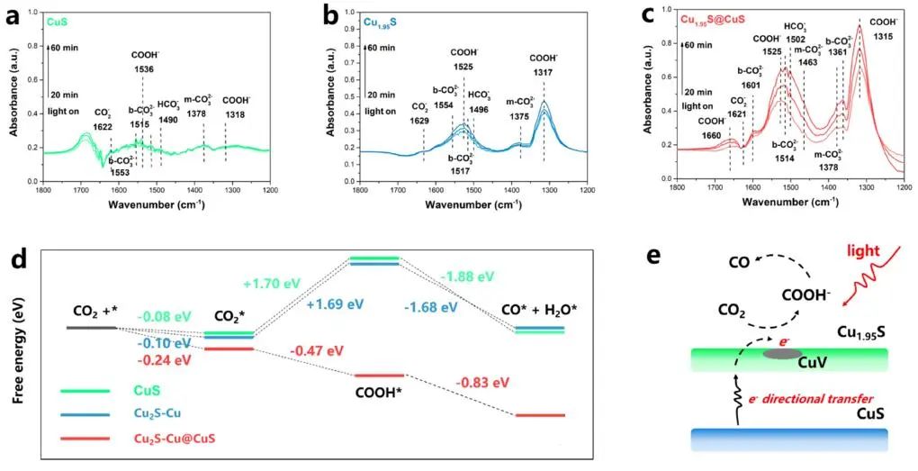 叶立群教授ACS Catalysis：选择性100%！Cu1.95S@CuS助力CO2光还原