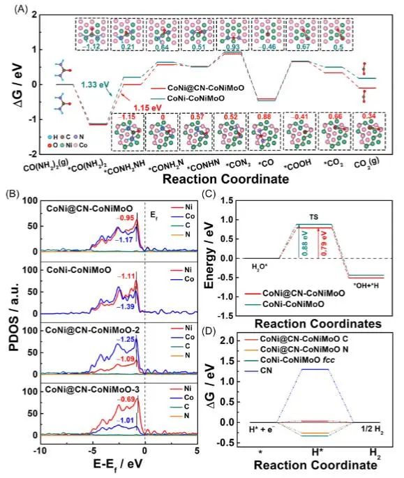 Carbon Energy：钴镍和氮掺杂碳强电子耦合，实现大电流密度下高效尿素氧化辅助制氢