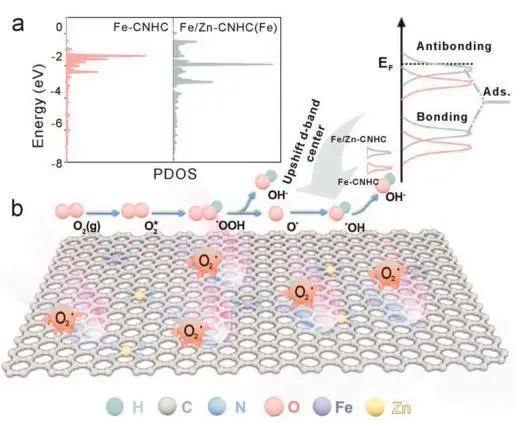 EnSM：调控FeN4的d带中心，有效增强氧还原反应活性