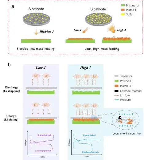 AM：高负载Li-S电池在贫电解液条件下的性能和失效分析