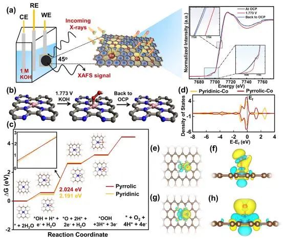 ​JACS：高分子辅助策略立大功！高密度钴单原子催化剂强化析氧反应活性