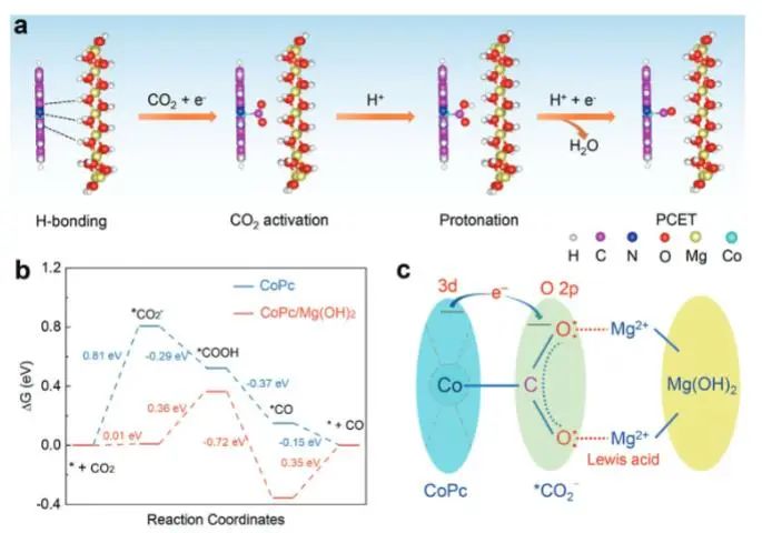 催化顶刊集锦：JACS、Angew、ACS Catal.、AFM、Adv. Sci.、Nano Lett.、Small等