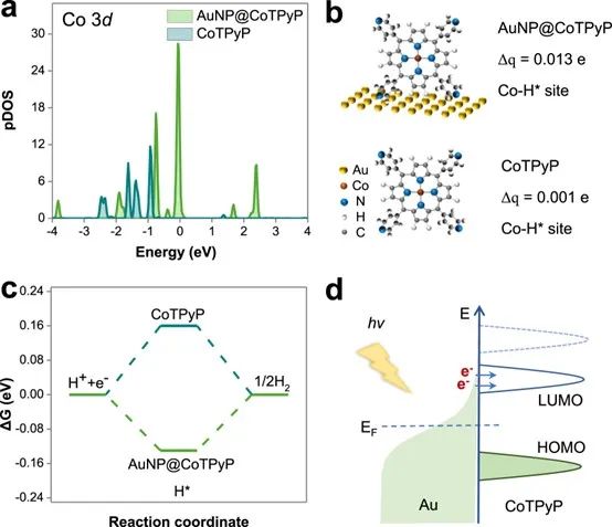 催化顶刊合集：Nature子刊、JMCA、Small、Carbon Energy、AFM、CEJ等成果！