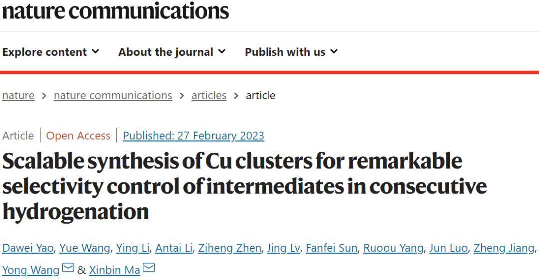 马新宾/王勇Nature子刊：连续加氢过程中Cu簇的可扩展合成