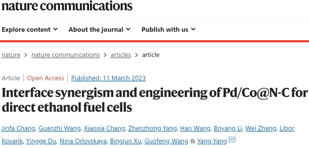 ​杨阳Nature子刊：Pd/Co@N-C助力直接乙醇燃料电池