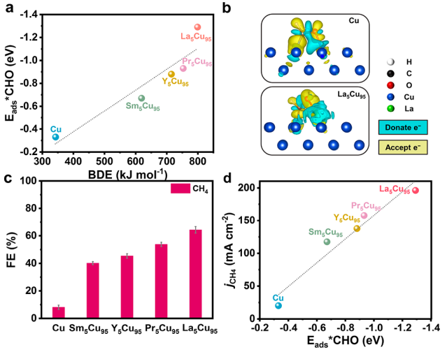 巩金龙团队，最新JACS！